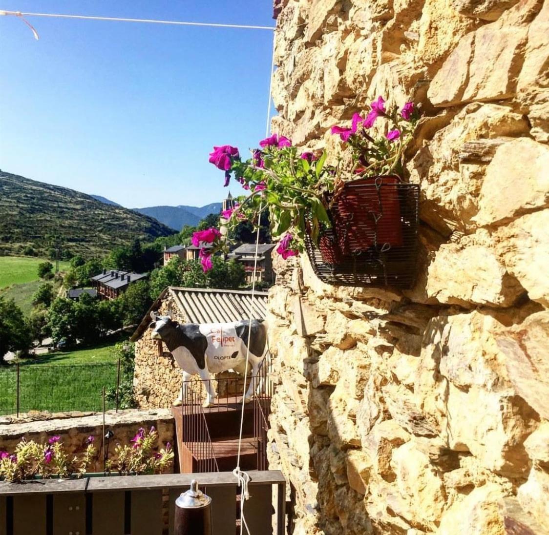 Preciosa Casa Rural Cal Felipet En Olopte-Cerdanya المظهر الخارجي الصورة